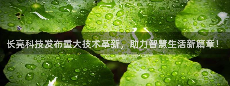 长亮科技发布重大技术革新，助力智慧生活新篇章！