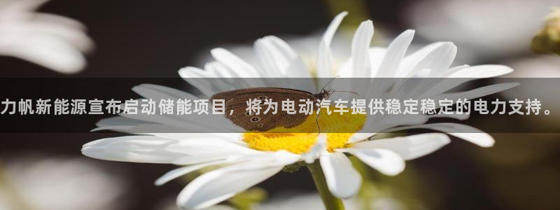 力帆新能源宣布启动储能项目，将为电动汽车提供稳定稳定的电力支持。
