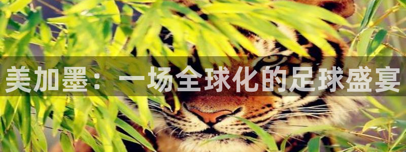 美加墨：一场全球化的足球盛宴