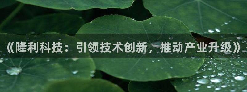《隆利科技：引领技术创新，推动产业升级》
