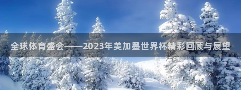全球体育盛会——2023年美加墨世界杯精彩回顾与展望