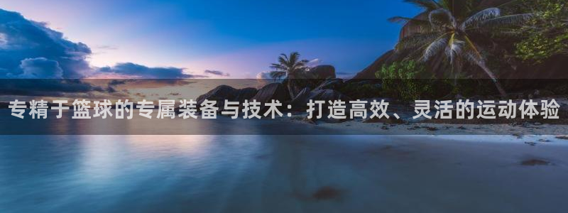 专精于篮球的专属装备与技术：打造高效、灵活的运动体验