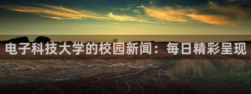 电子科技大学的校园新闻：每日精彩呈现