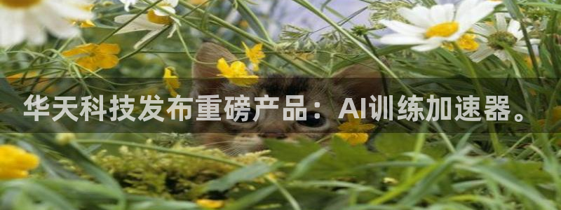 华天科技发布重磅产品：AI训练加速器。