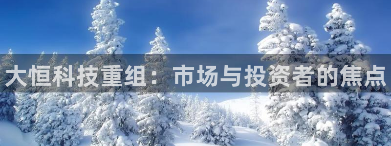大恒科技重组：市场与投资者的焦点