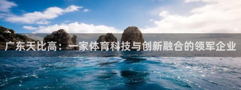广东天比高：一家体育科技与创新融合的领军企业