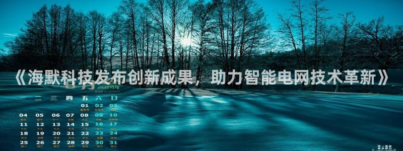 《海默科技发布创新成果，助力智能电网技术革新》