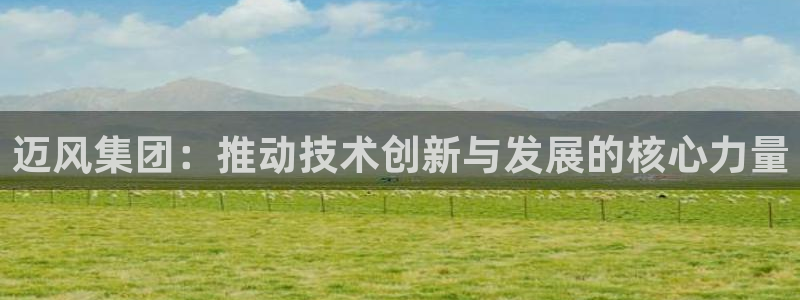 迈风集团：推动技术创新与发展的核心力量