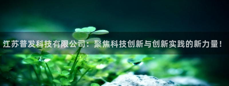 江苏普发科技有限公司：聚焦科技创新与创新实践的新力量！