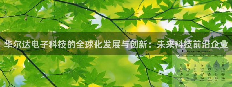 华尔达电子科技的全球化发展与创新：未来科技前沿企业