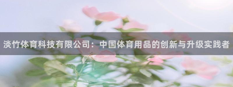 淡竹体育科技有限公司：中国体育用品的创新与升级实践者
