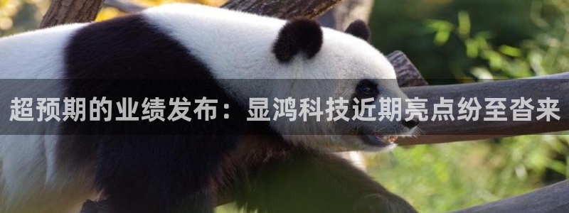 超预期的业绩发布：显鸿科技近期亮点纷至沓来
