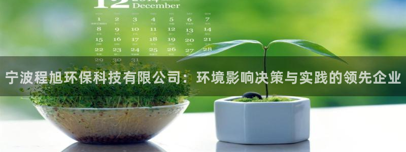 宁波程旭环保科技有限公司：环境影响决策与实践的领先企业