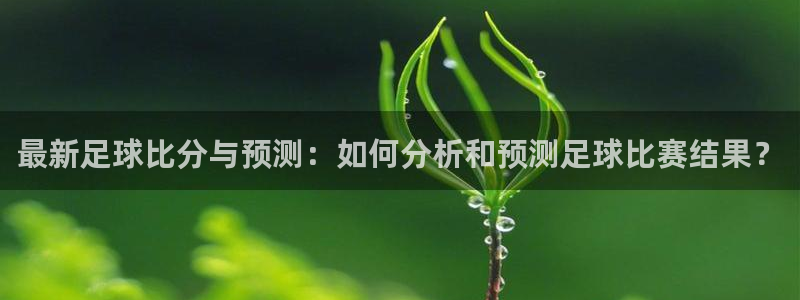 最新足球比分与预测：如何分析和预测足球比赛结果？