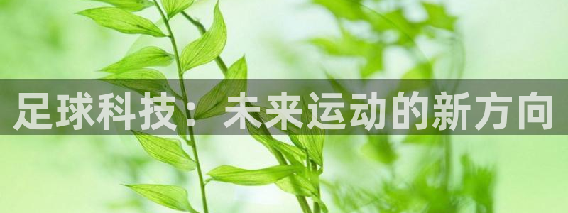 足球科技：未来运动的新方向