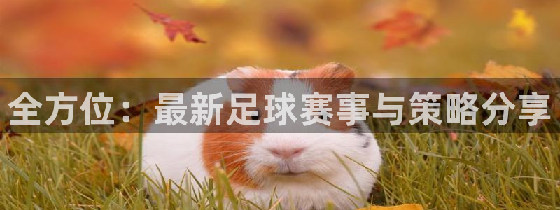 全方位：最新足球赛事与策略分享