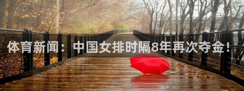 体育新闻：中国女排时隔8年再次夺金！