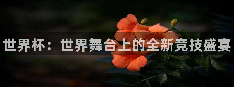 世界杯：世界舞台上的全新竞技盛宴
